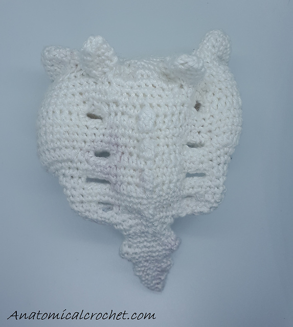 Sacrum and coccyx