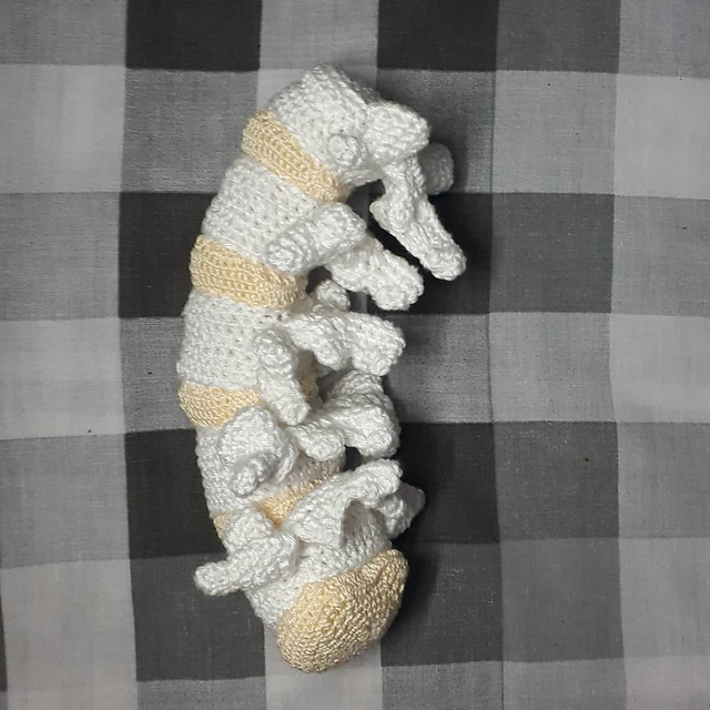Lumbar vertebrae
