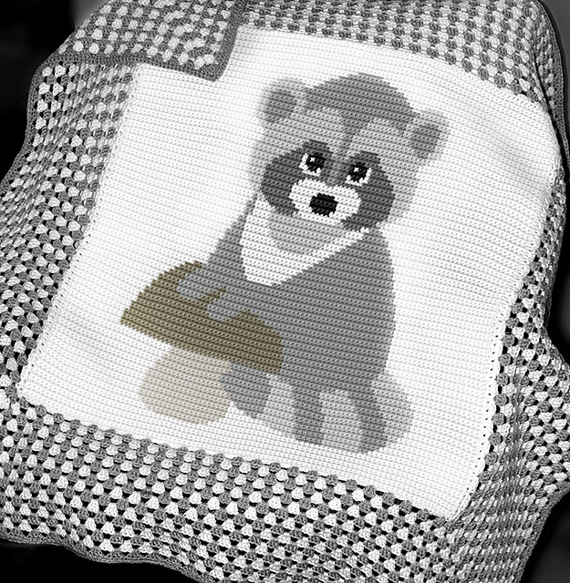 Baby Raccoon