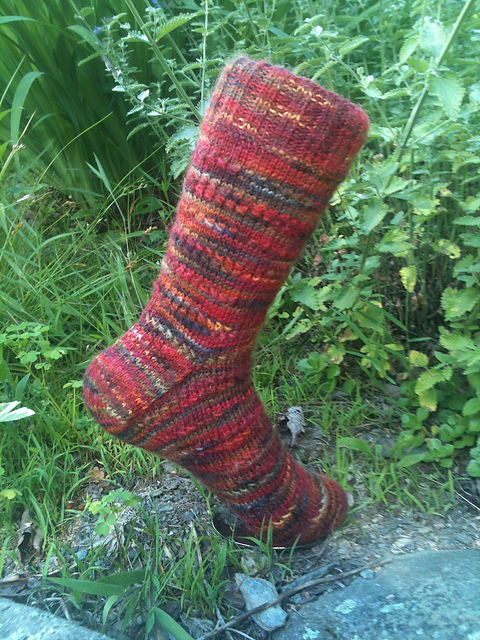 Adventurous Sole