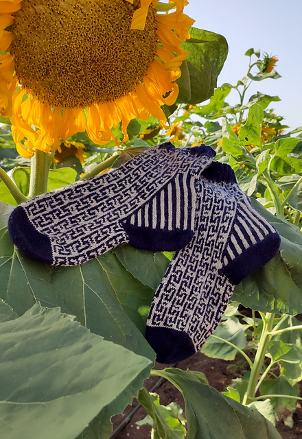 Rhythm Section Socks