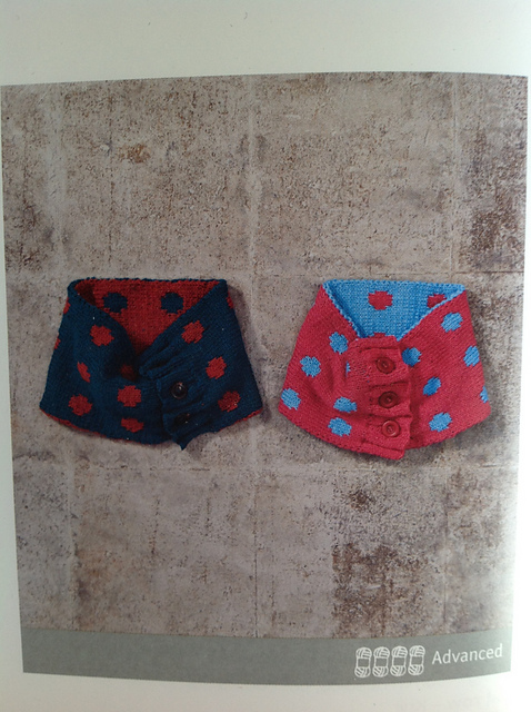 Reversible Spot Collar