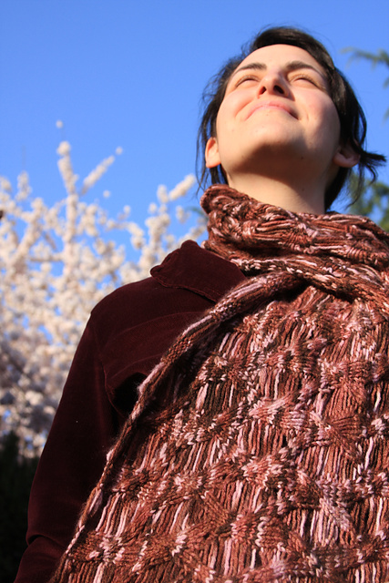 Cherry Branch Stole