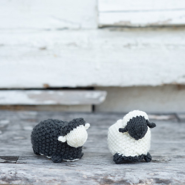Black Sheep, White Sheep