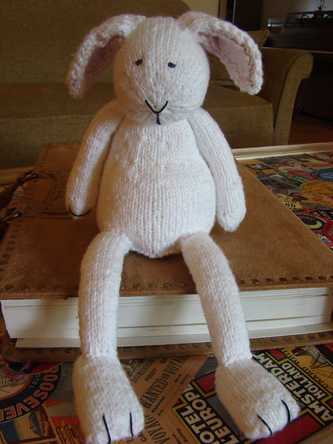 Bunny