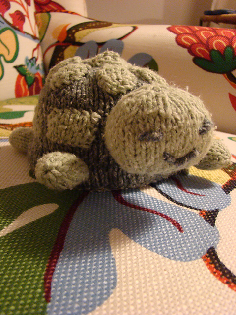 Frog and Turtle