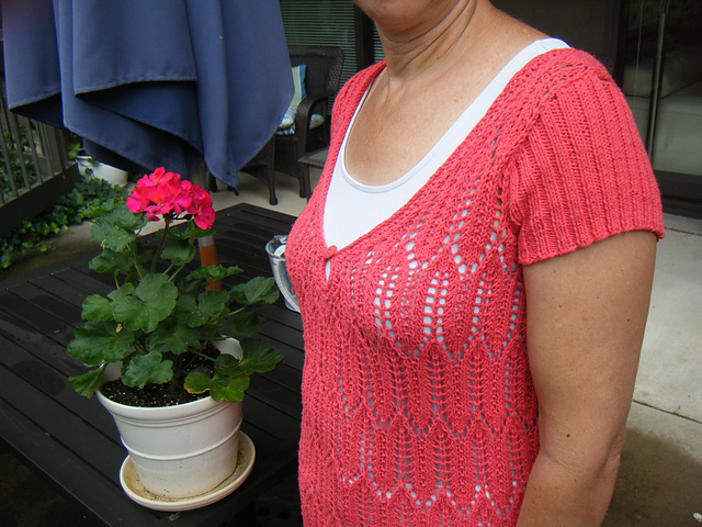 Stretchy Lace Summer Tunic