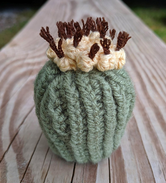 Fruity Barrel Cactus