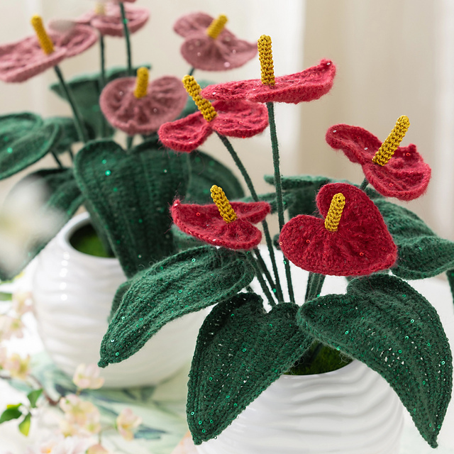 Fortune Anew Anthurium