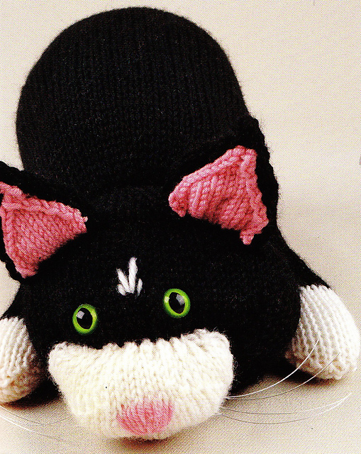 Black and White Cat