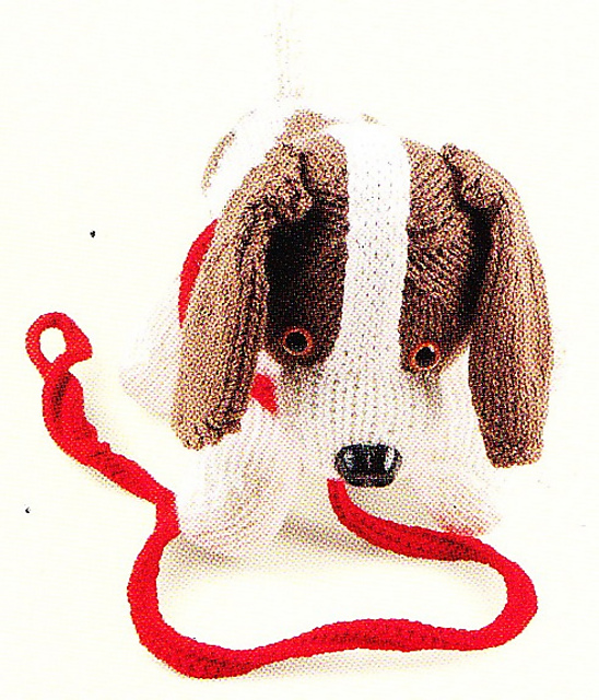 Spaniel Puppy