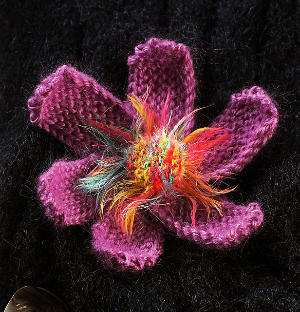 Zinnia