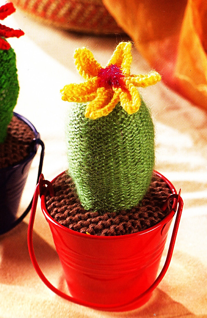 Cactus Flower