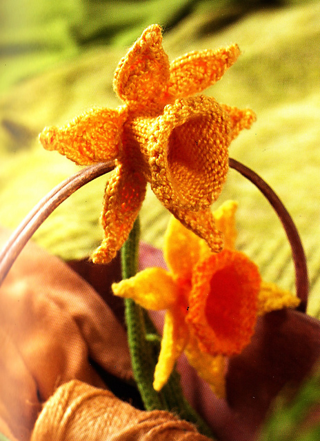 Daffodil