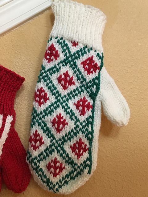 Mittens #506