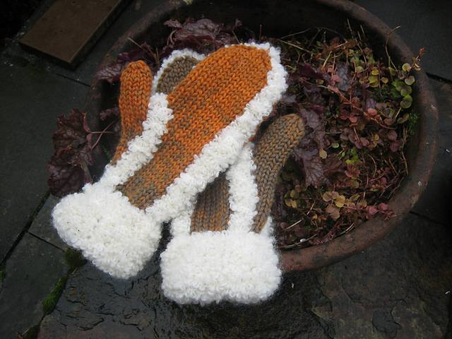 Warm & Woolie Mittens