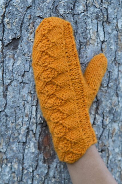 Fall Beachcomber Mittens