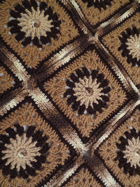 Tawny Chrysanthemum Square