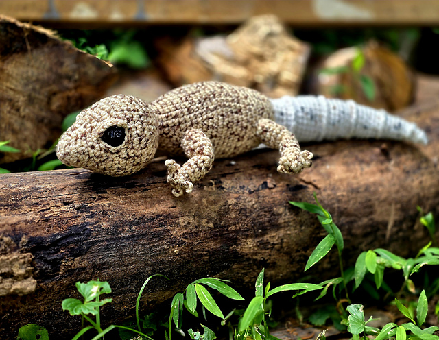 gecko