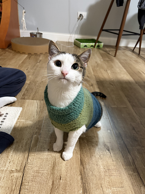 Bunny Sweater