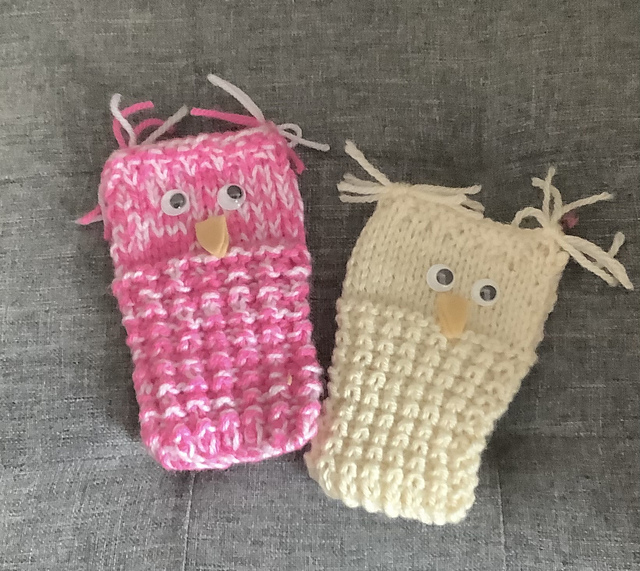Owl Glasses Case