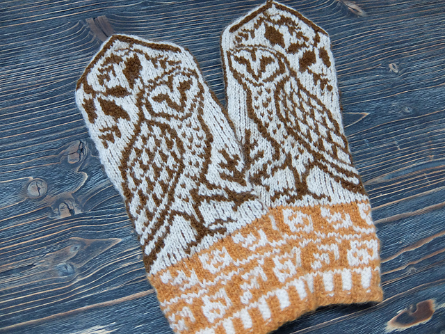 Barn Owl