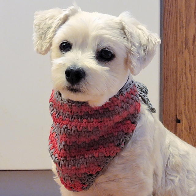 Preppy Puppy Bandana