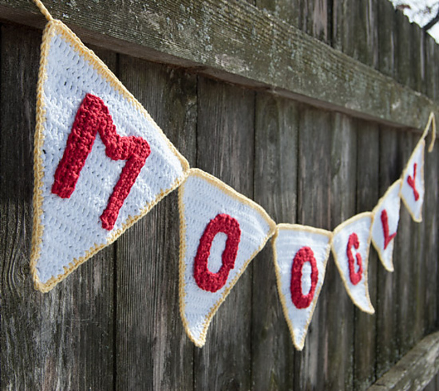 Perfect Party Pennant Garland