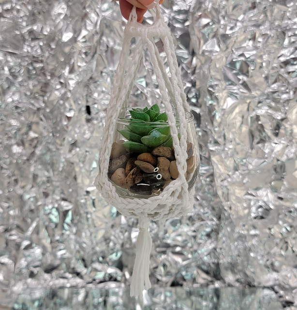 Mighty Mini Plant Hanger