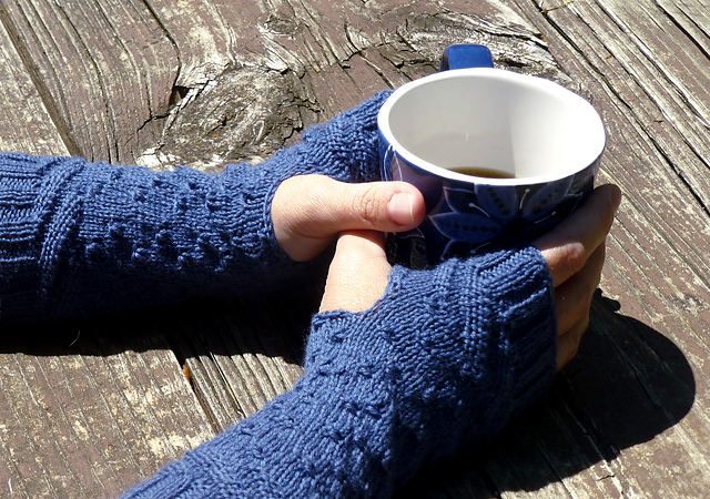 Blue Wild Indigo Mitts