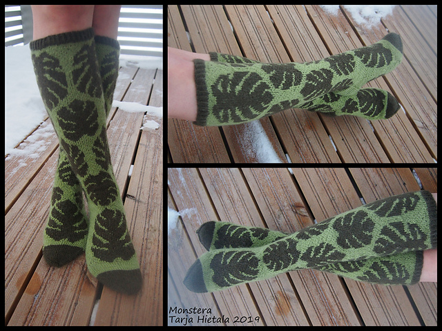 Monstera