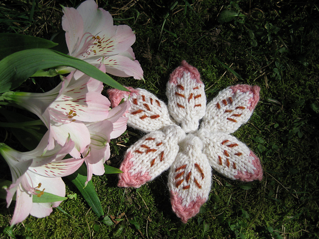 Flower Petal Fairy Wings