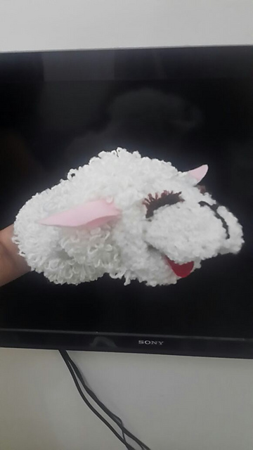 Lambchop