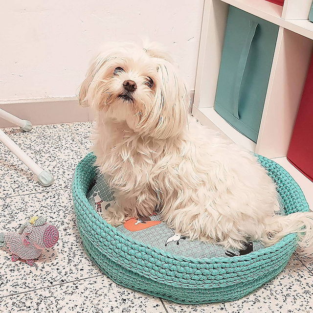 Cunita para perrito o gatito