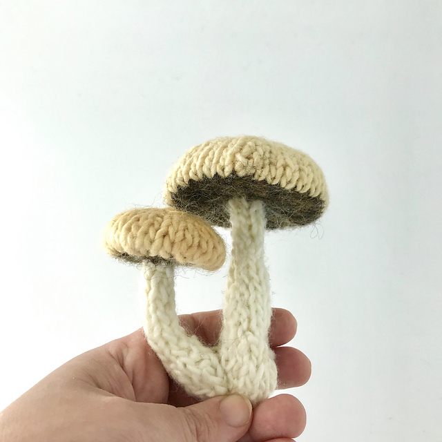 Mini Earl Grey Mushroom