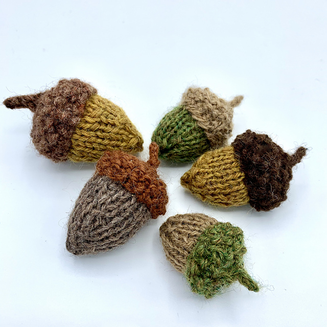Acorn Account