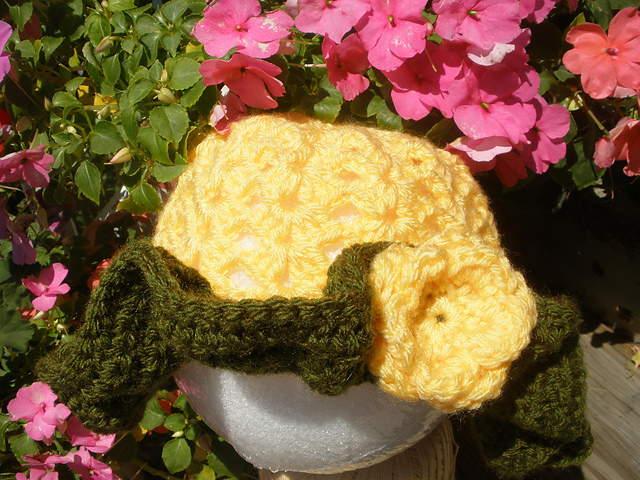 Sun Flower