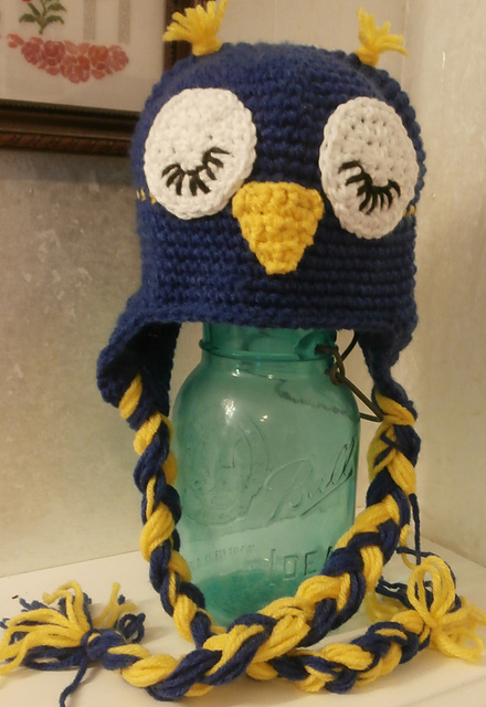 Owl Team Hat with Earflaps and Braids