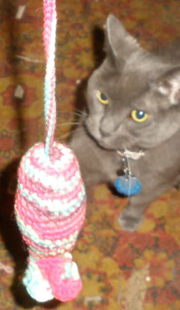 Abby's Catnip Narwal