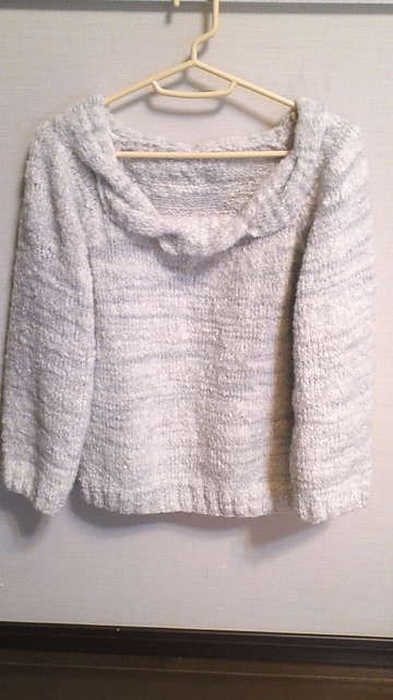 #5 Raglan Sleeve Pullover