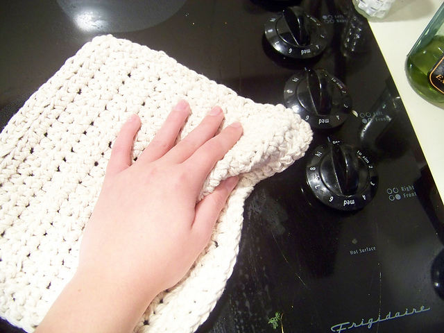 Spring Cleaning Maxi-Absorbent Rag