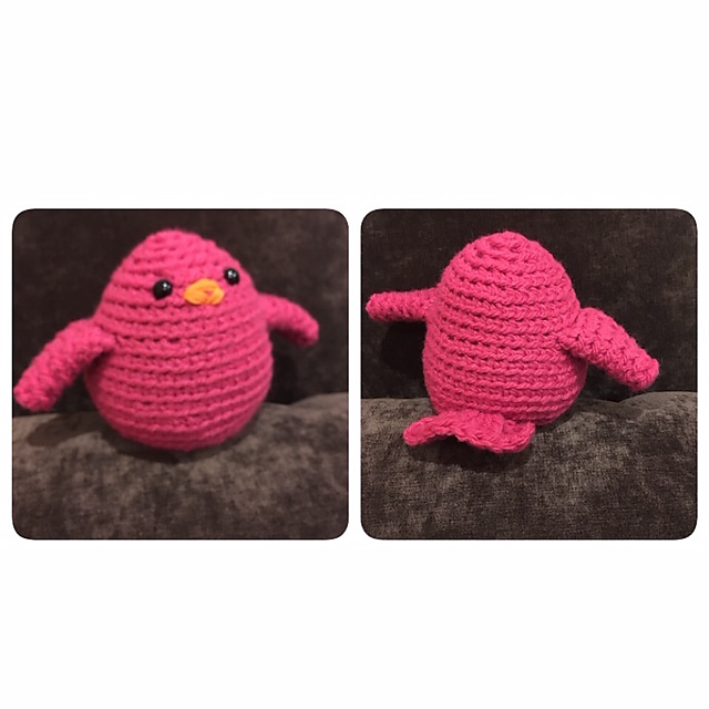 Chubby bird