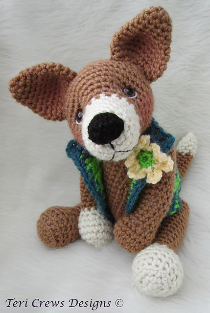 Cute Chiwawa Dog