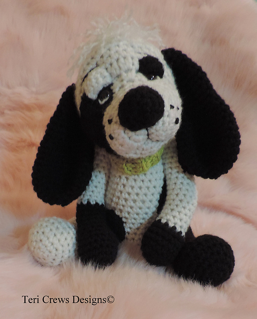 Cute Spotted Dog