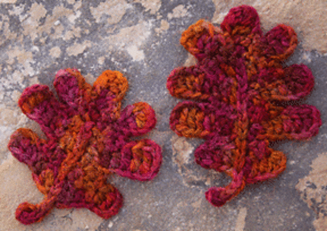 Gambel Oak Leaves