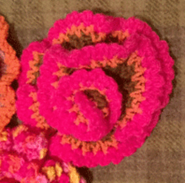 Frilly Rose