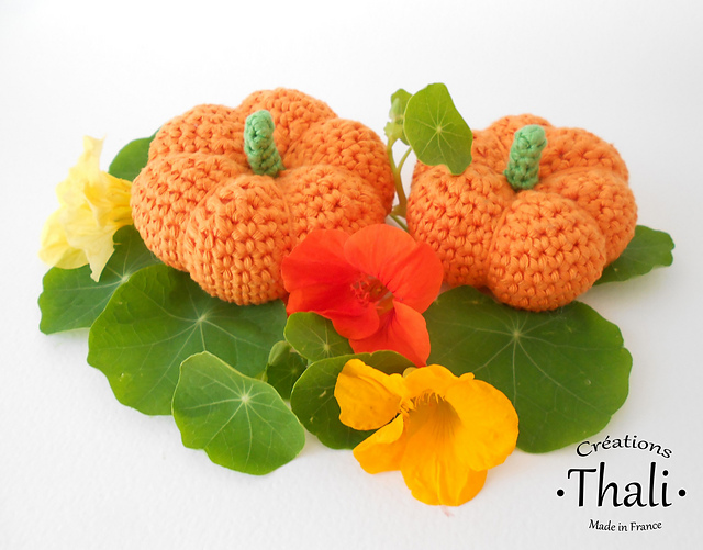 Citrouille citrouilles