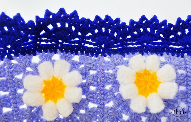 Bordure du plaid flower power