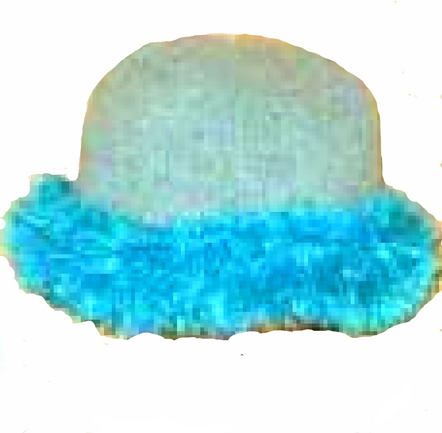 Fur Trimmed Hat