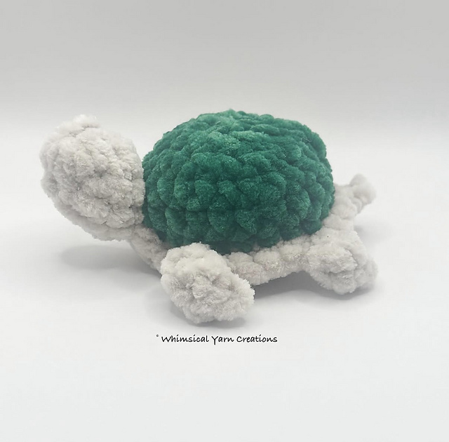 Baby Turtle